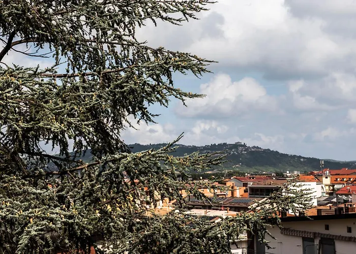 Fiordiloto 4 Stars Alba (Piedmont)